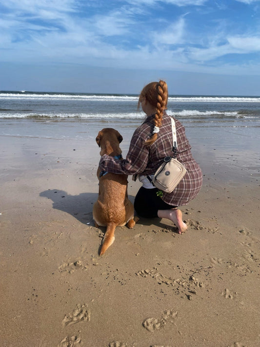 Bumble - Dog Walking Bag