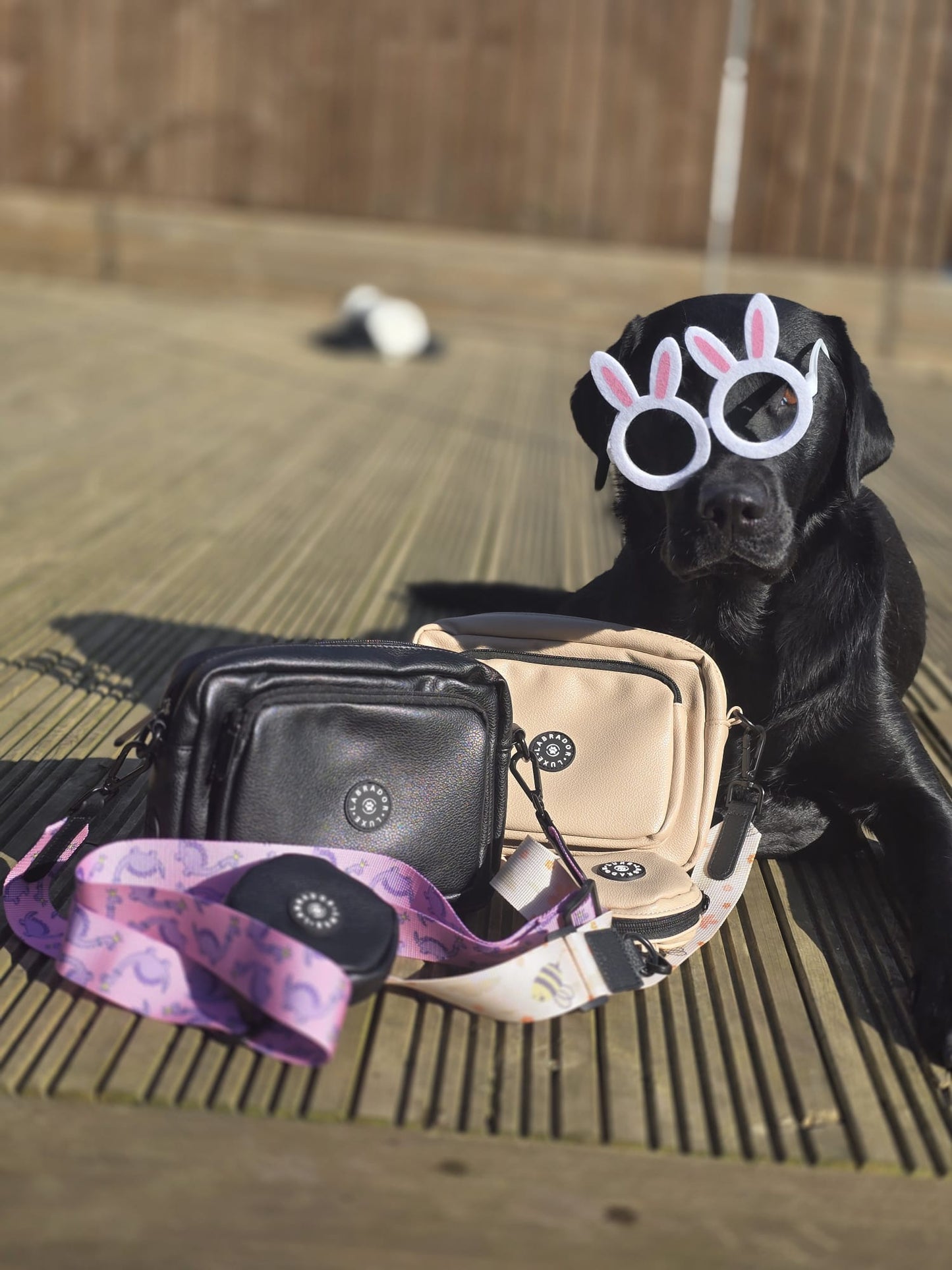 Millie - Dog Walking Bag