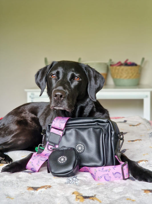 Millie - Dog Walking Bag