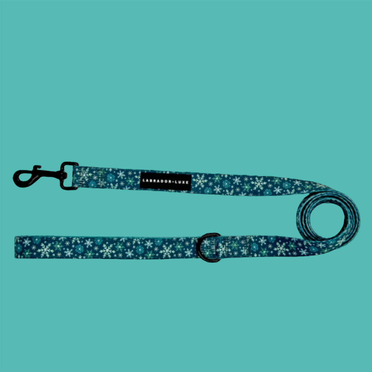 Monty - Lead - Labrador • Luxe