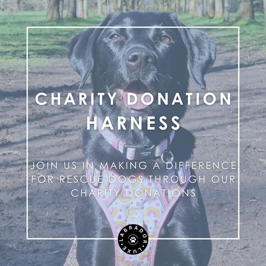 Charity Donation - Harness - Labrador • Luxe