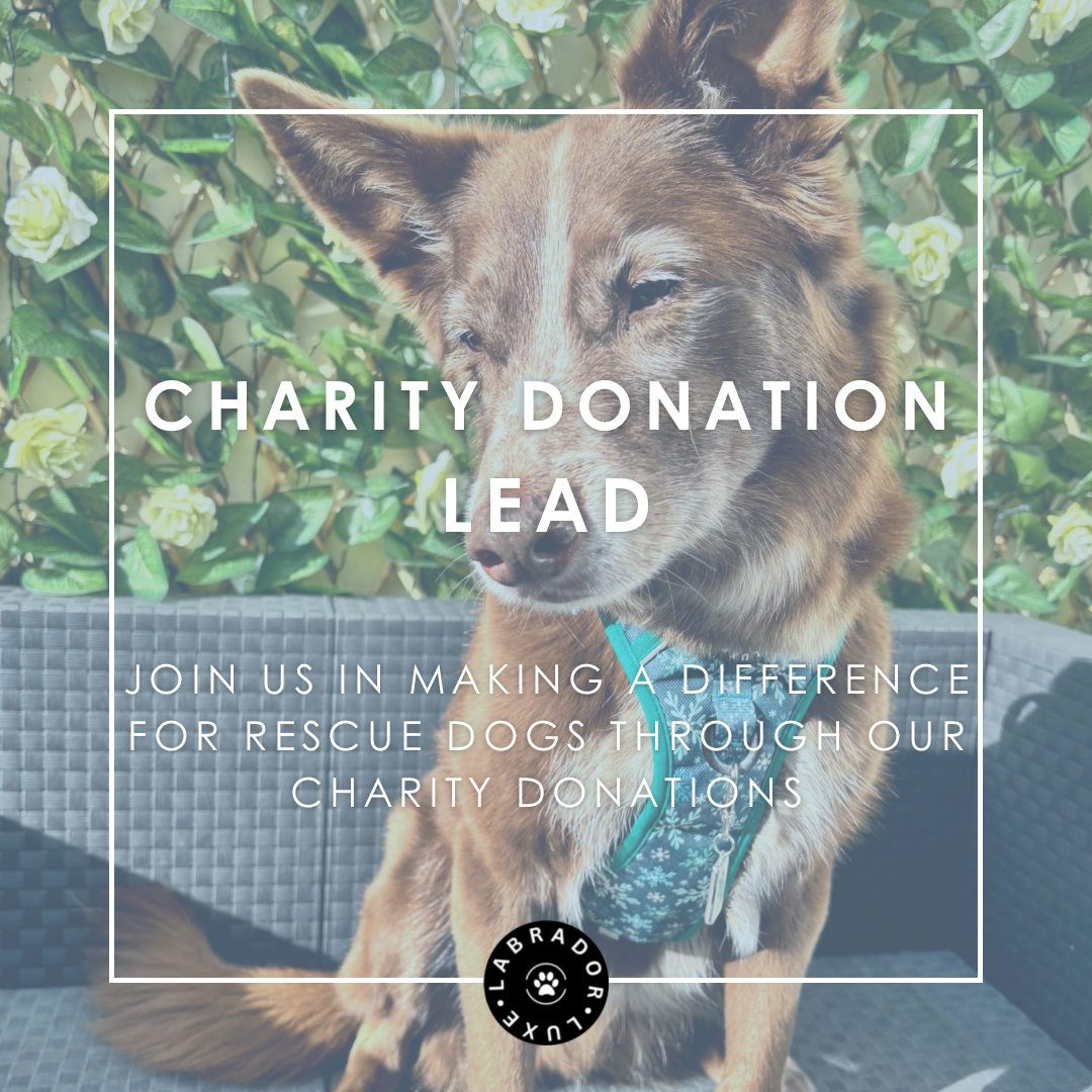 Charity Donation - Lead - Labrador • Luxe