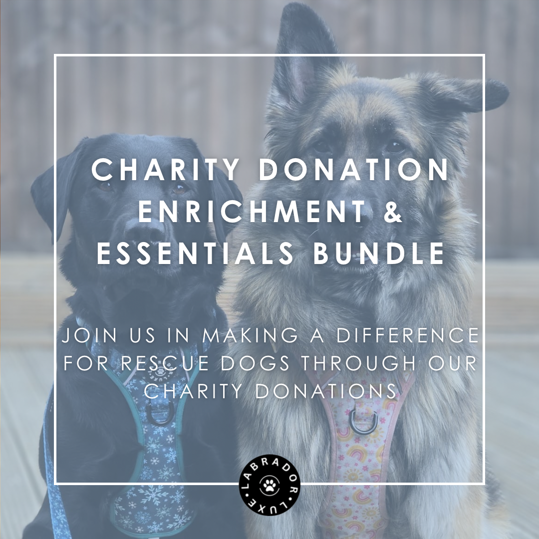 Charity Donation - Enrichment & Essentials Bundle - Labrador • Luxe