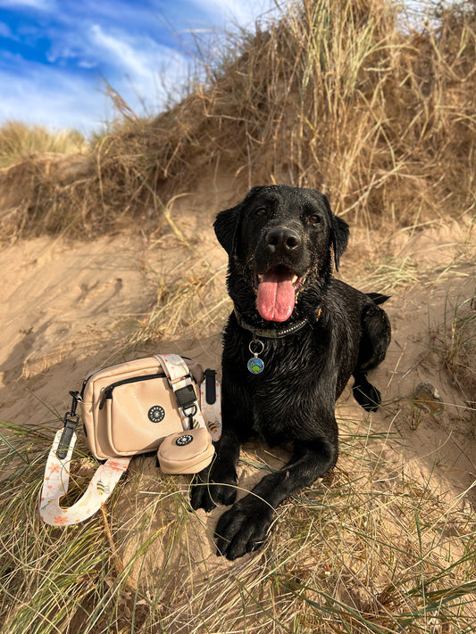 Bumble - Dog Walking Bag