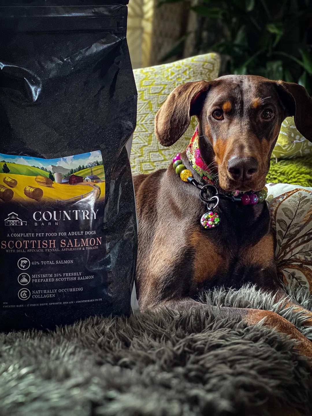 Country Barn - Scottish Salmon Superfood