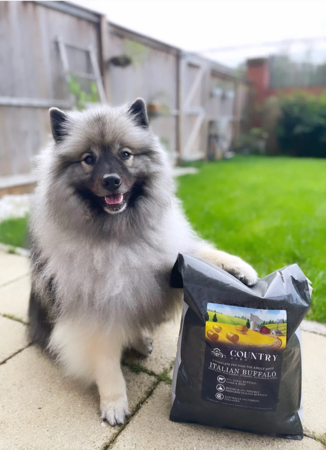 Country Barn - Italian Buffalo Superfood