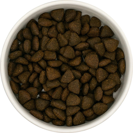 Country Barn - Scottish Salmon Superfood (Senior)