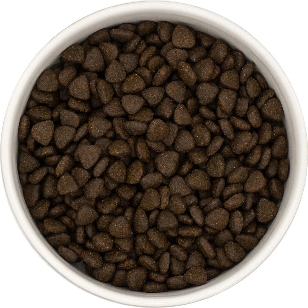 Country Barn - Scottish Salmon Superfood (Puppy)