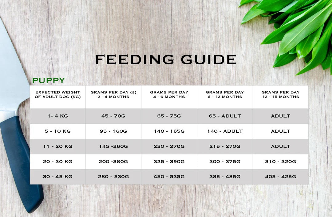 Country Barn - Scottish Salmon Superfood (Puppy)