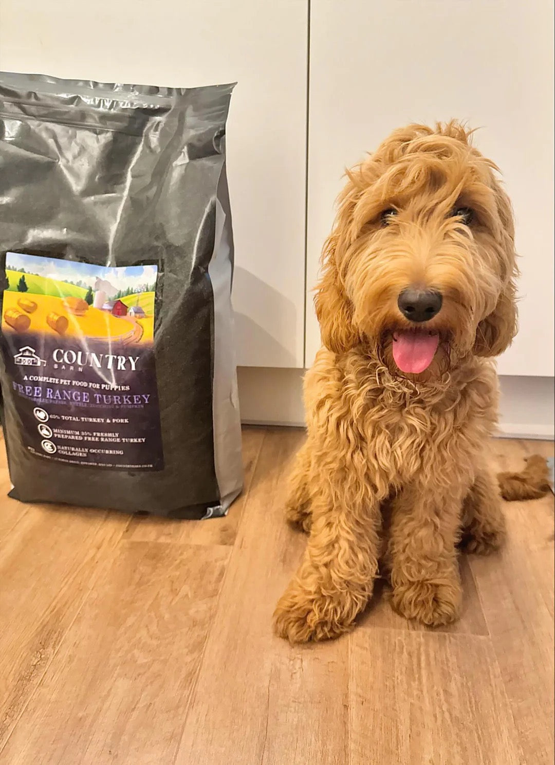 Country Barn - Turkey and Pork Superfood (Puppy)