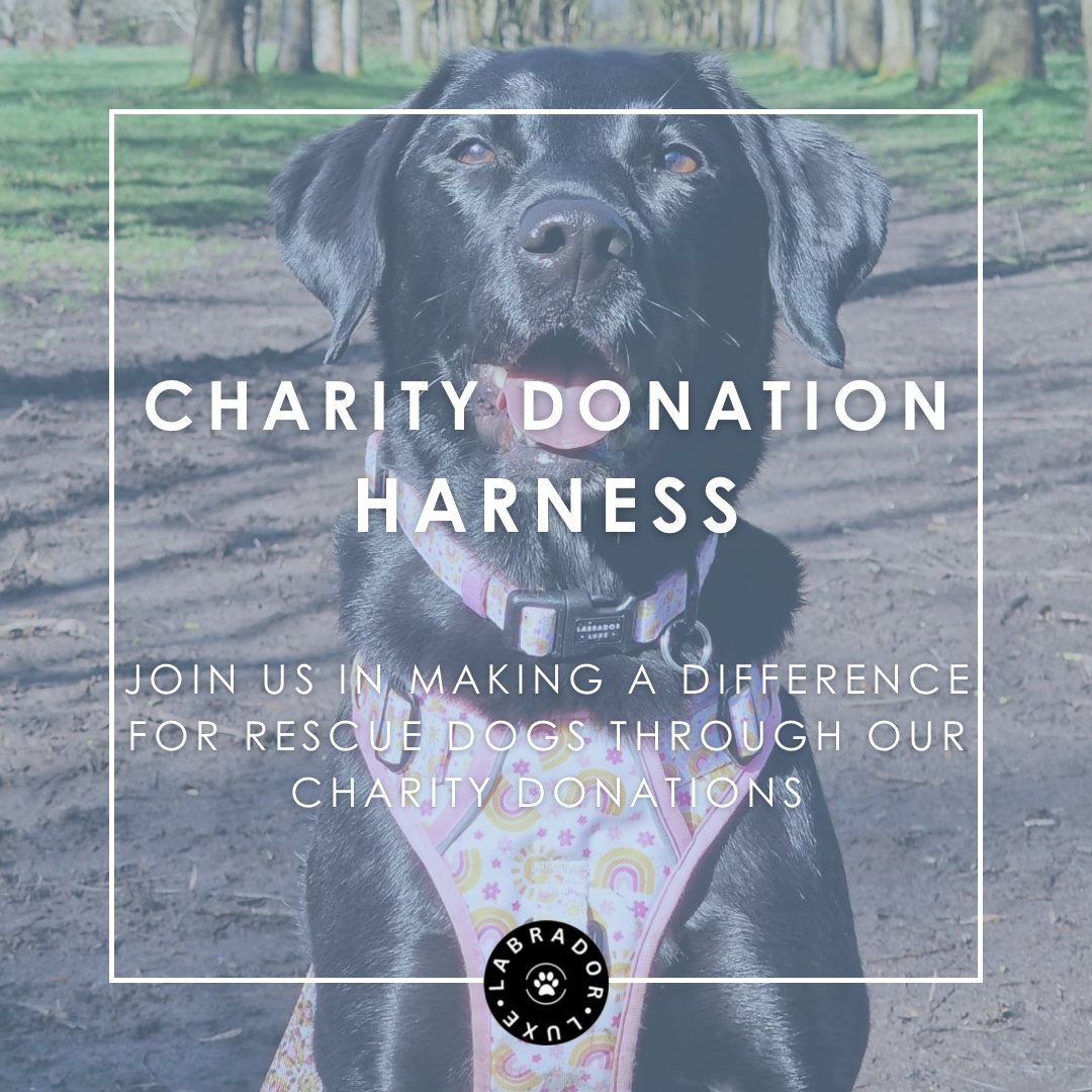 Charity Donation - Harness