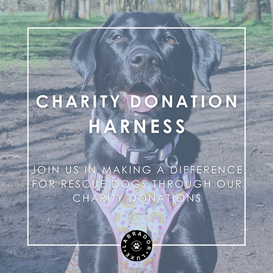 Charity Donation - Harness