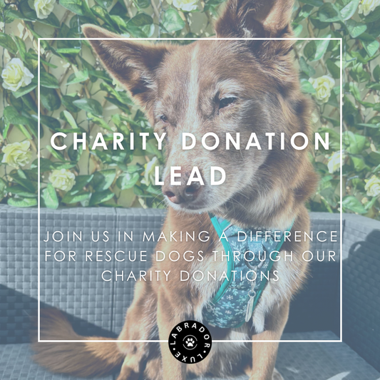 Charity Donation - Lead