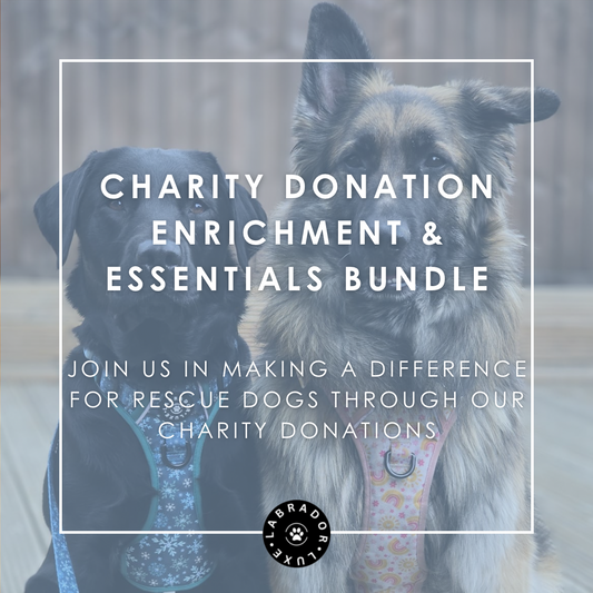 Charity Donation - Enrichment & Essentials Bundle