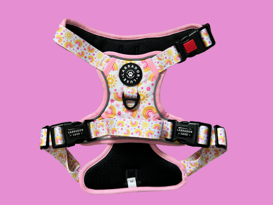 Indie - Explorer Harness