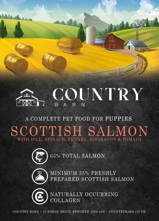 Country Barn - Scottish Salmon Superfood (Puppy)